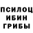 Галлюциногенные грибы Magic Shrooms growbetteeer
