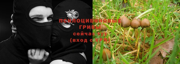 ALPHA PVP Аркадак