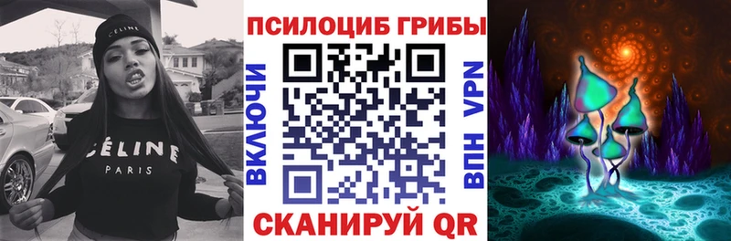 Псилоцибиновые грибы GOLDEN TEACHER купить наркоту Пустошка